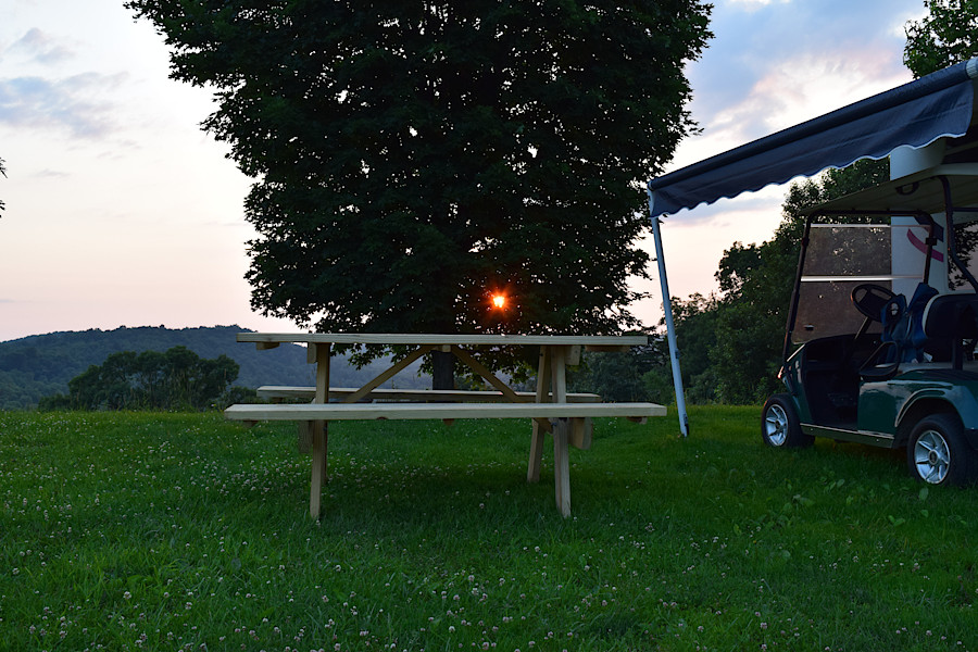 Sunrise through a tree